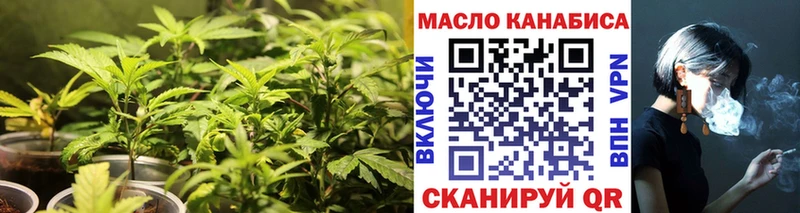 как найти закладки  Камышлов  ТГК концентрат 